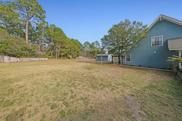 a view of a yard with a tree