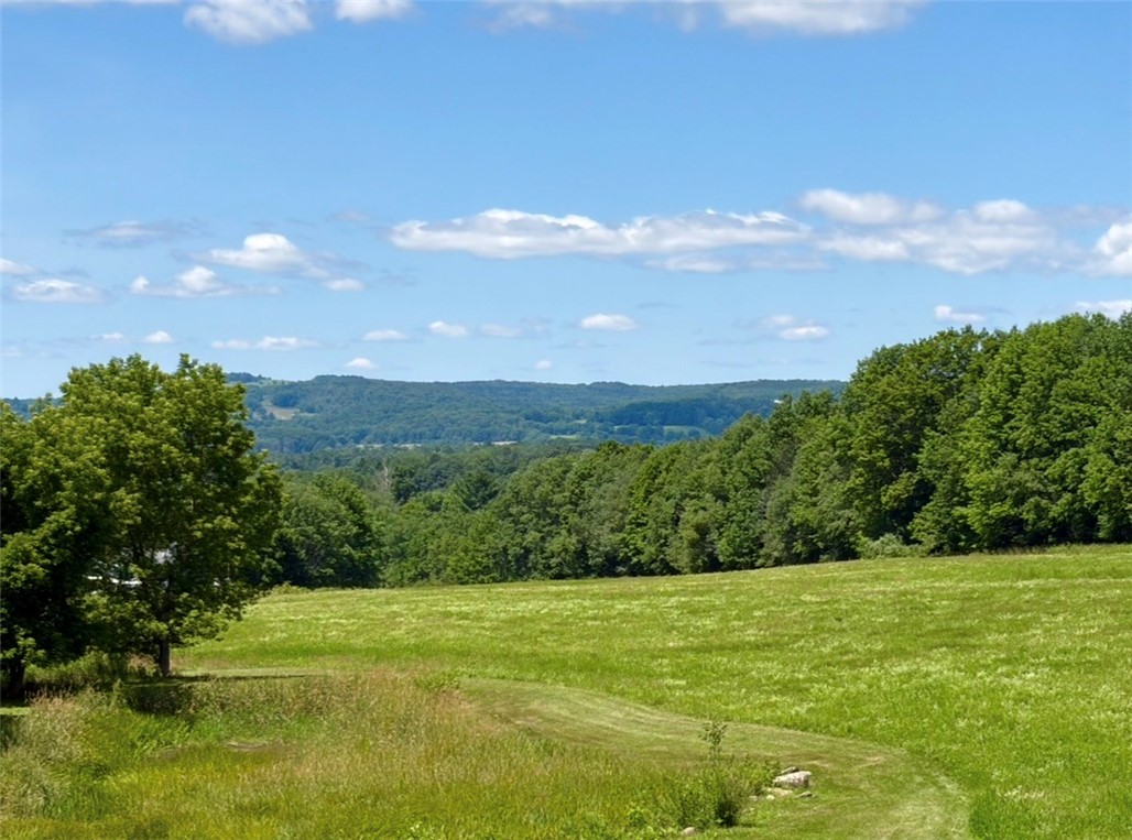 291 Camp Road Pittsfield, NY 13411 - Photo 2 of 50 Gallery Image 2