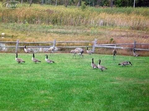 1284 Butcher Road Fenton, MI 48430 - Photo 19 of 43 20377142-18.JPG