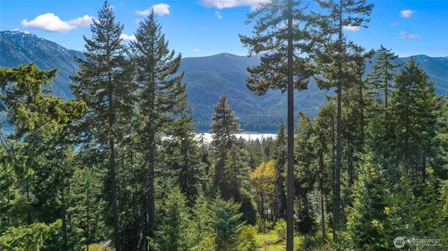 a view of a house in a forest