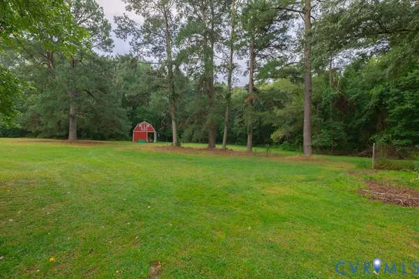 a view of a park with large trees