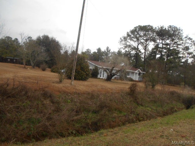 6164 Stephenson Road Samson, AL 36477 - Photo 4 of 19 Gallery Image 4