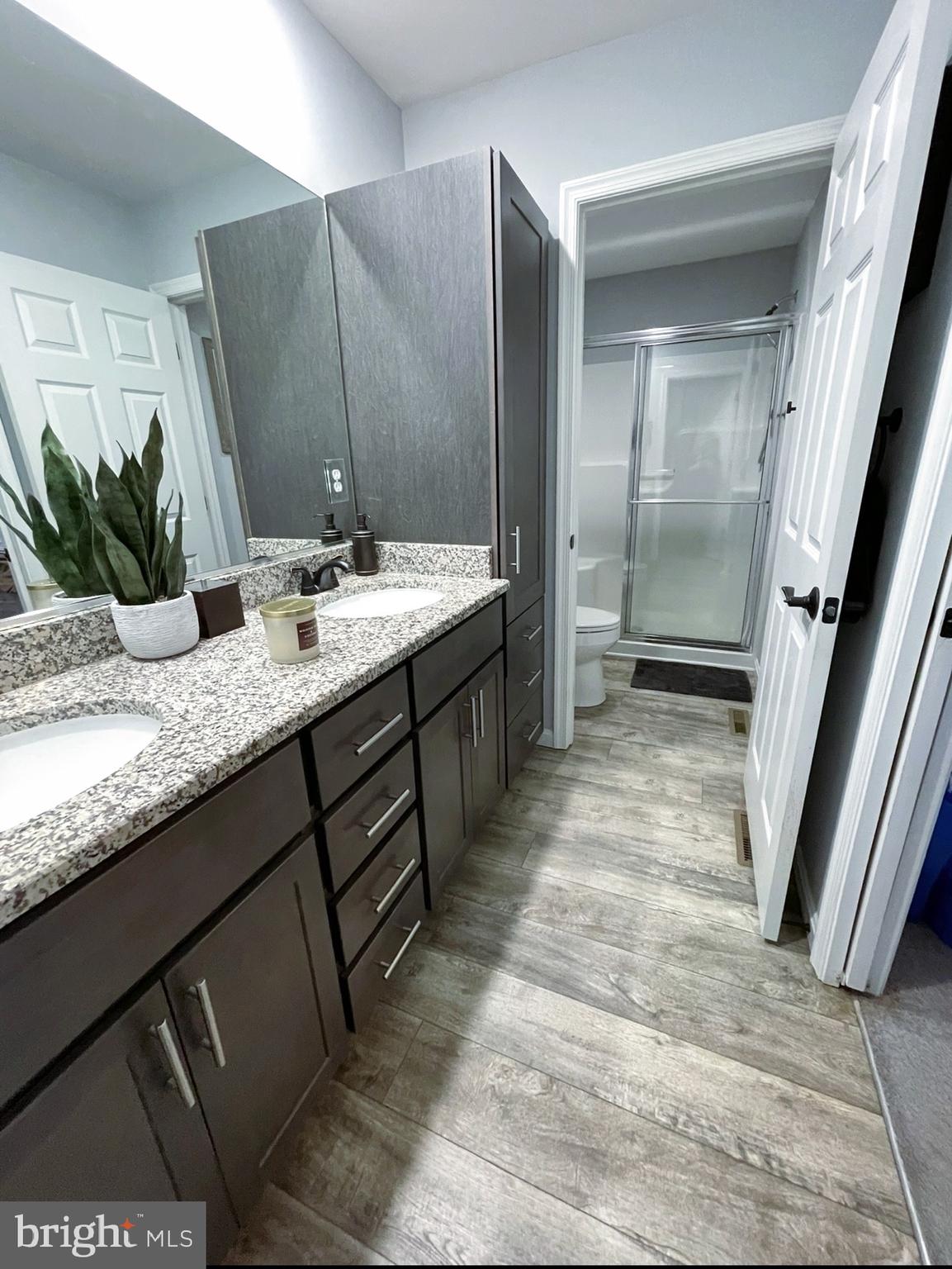 29389 Eagle Point Drive Seaford, DE 19973 - Photo 24 of 42 a bathroom with a granite countertop sink a mirror and a shower