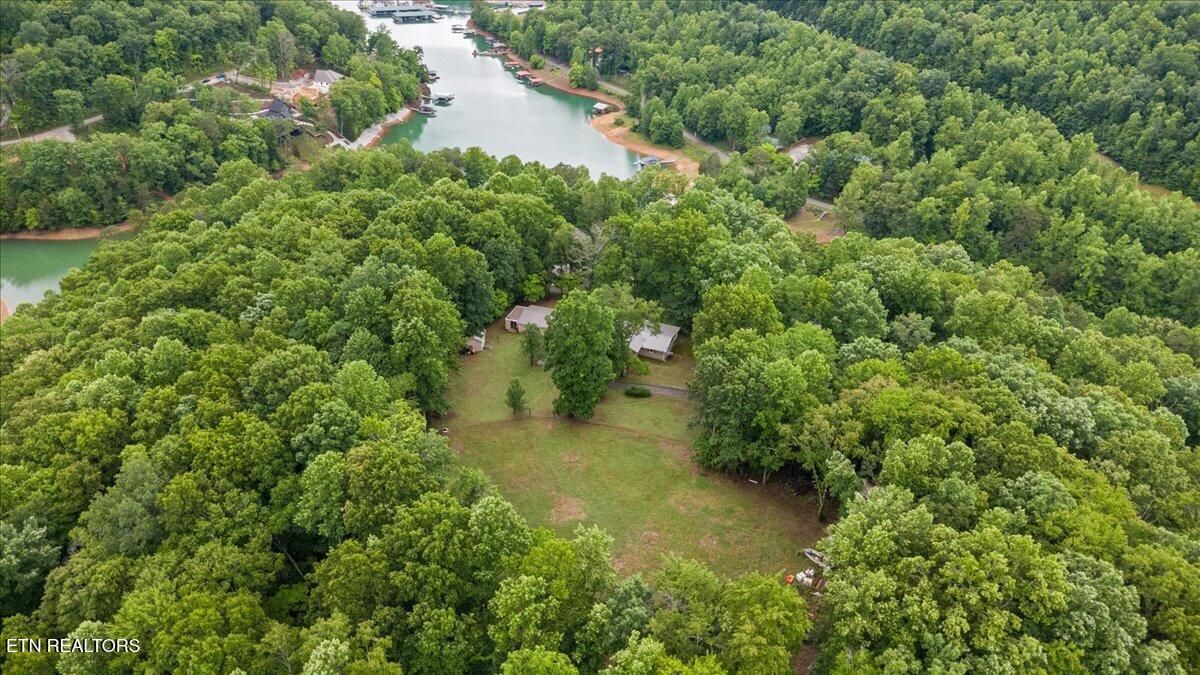 261 Rain Valley Road La Follette, TN 37766 - Photo 5 of 47 07-261 Rain Valley Rd