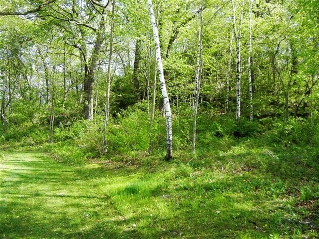 Lot 2 Woodland Road Viroqua, WI 54665 - Photo 2 of 7