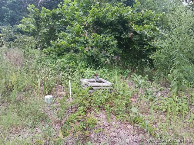 $75,000 | 31601 Buck Run Ridge, Stover, MO 65078