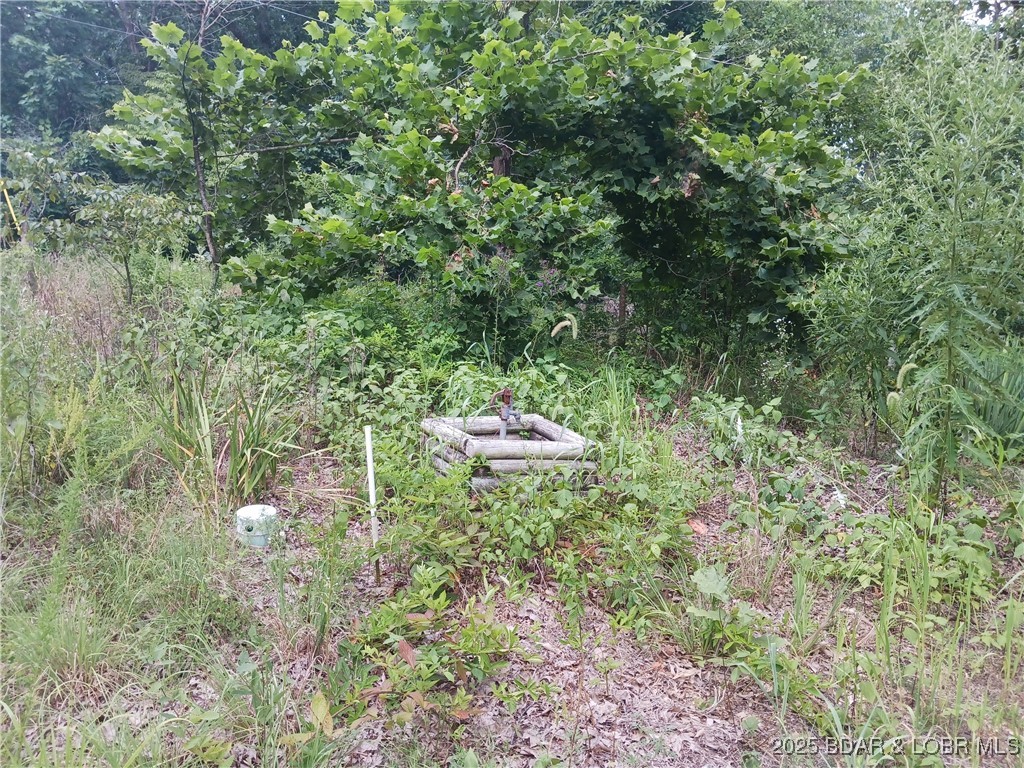 31601 Buck Run Ridge Stover, MO 65078 - Photo 7 of 8