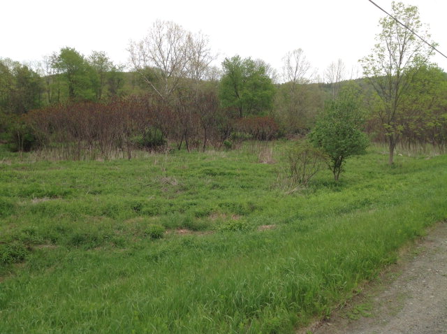 512 Halsey Valley Road Tioga, NY 13734 - Photo 1 of 1 Gallery Image 1