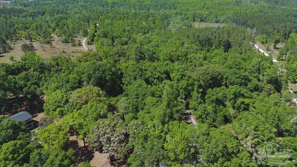1.72-acres Sid Hayes Road Jay, FL 32565 - Photo 11 of 14