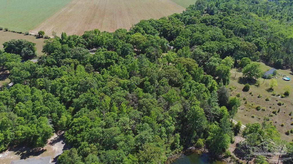 1.72-acres Sid Hayes Road Jay, FL 32565 - Photo 12 of 14