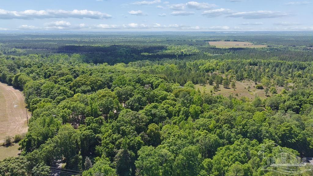 1.72-acres Sid Hayes Road Jay, FL 32565 - Photo 13 of 14