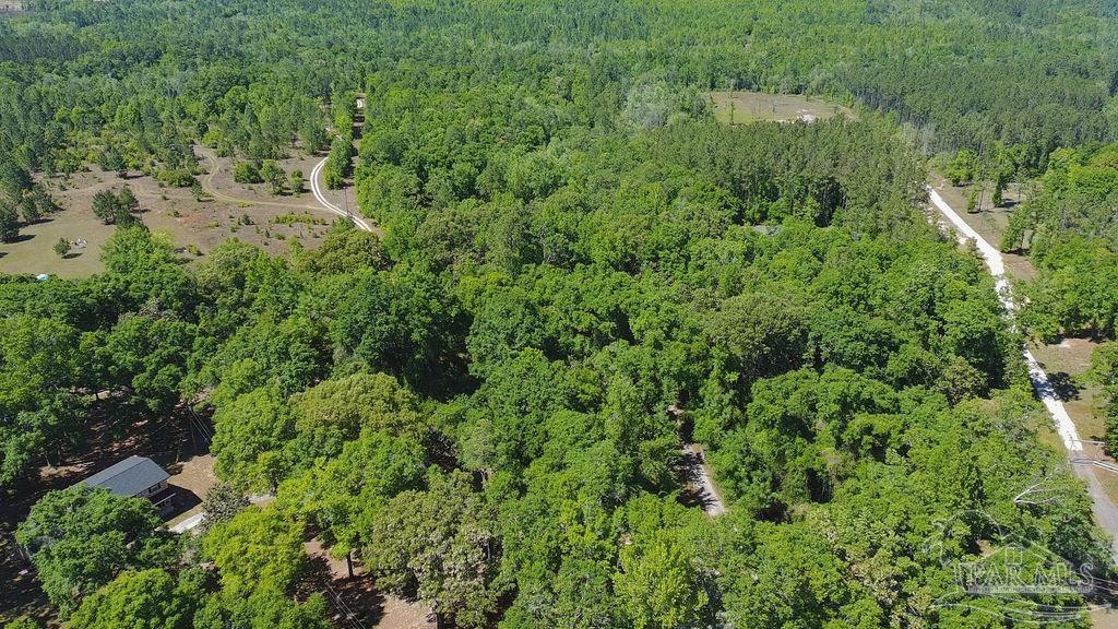 1.72-acres Sid Hayes Road Jay, FL 32565 - Photo 3 of 14