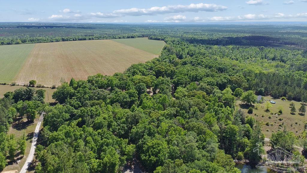 1.72-acres Sid Hayes Road Jay, FL 32565 - Photo 4 of 14