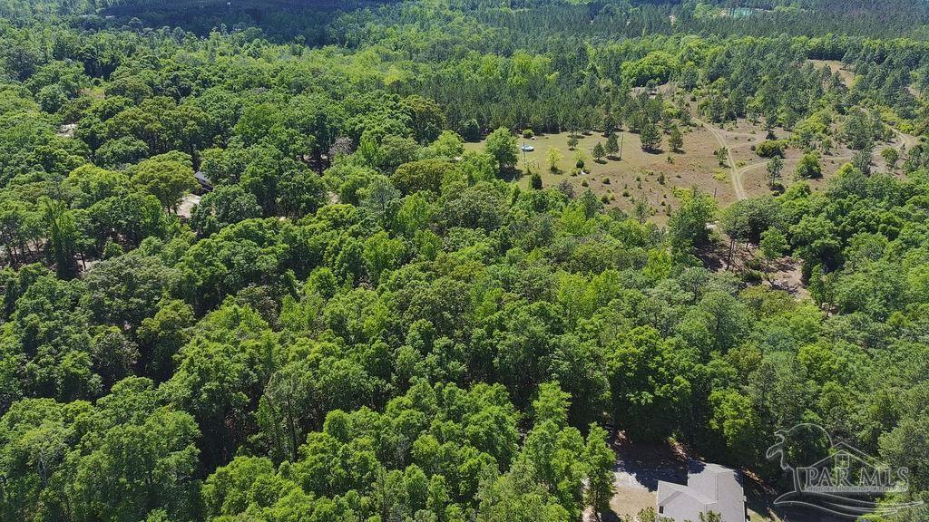 1.72-acres Sid Hayes Road Jay, FL 32565 - Photo 5 of 14