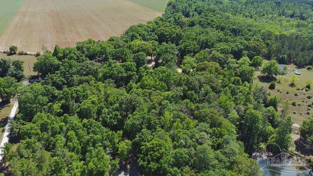 1.72-acres Sid Hayes Road Jay, FL 32565 - Photo 6 of 14