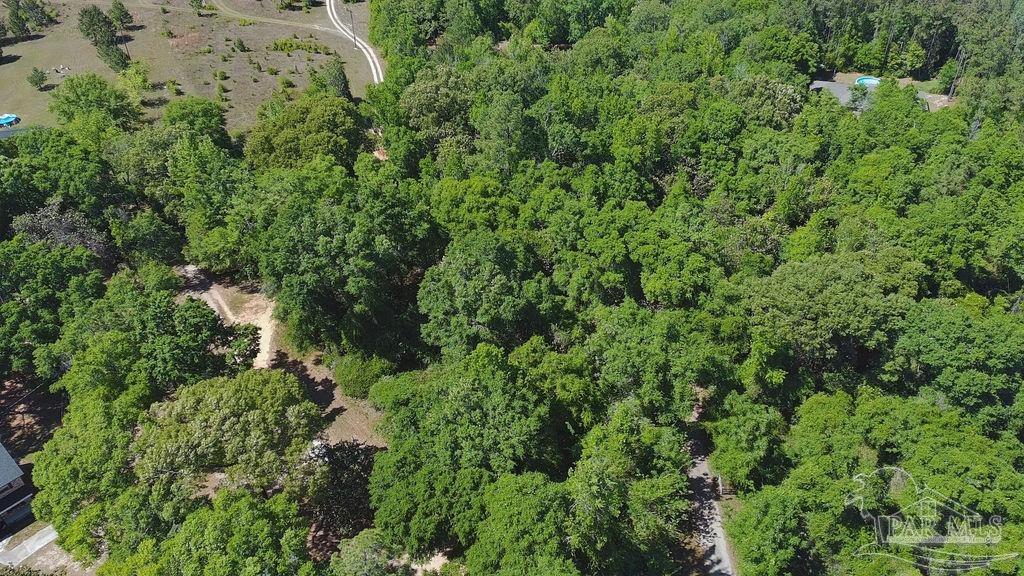 1.72-acres Sid Hayes Road Jay, FL 32565 - Photo 7 of 14