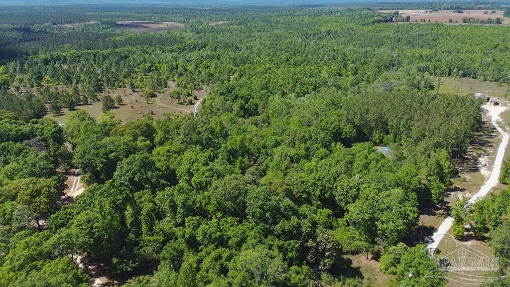 1.72-acres Sid Hayes Road Jay, FL 32565 - Photo 8 of 14