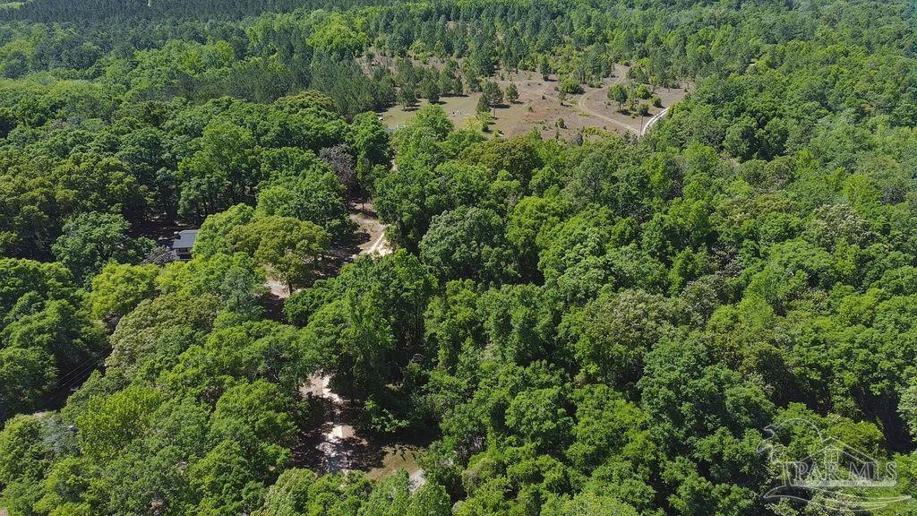 1.72-acres Sid Hayes Road Jay, FL 32565 - Photo 10 of 14