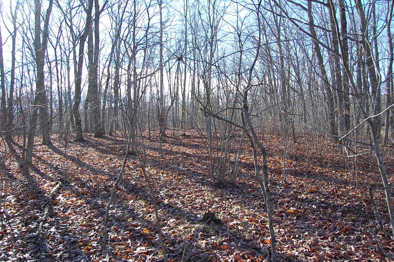 5 Davis Cemetery Road Dunlap, TN 37327 - Photo 16 of 22 Gallery Image 16