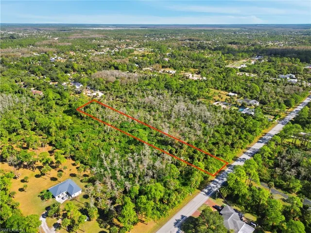 a view of a city with lush green forest