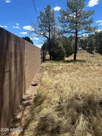 a view of a pathway with a tree