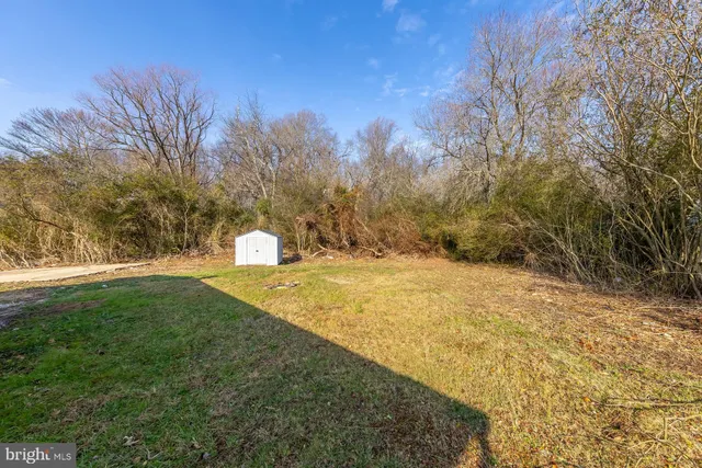 a view of yard with trees