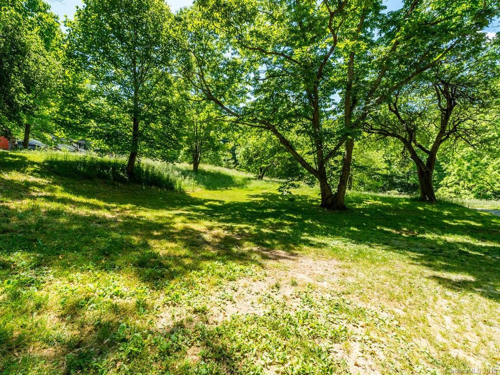795 Springbrook Farm Road Waynesville, NC 28786 - Photo 36 of 45 a view of yard with green space