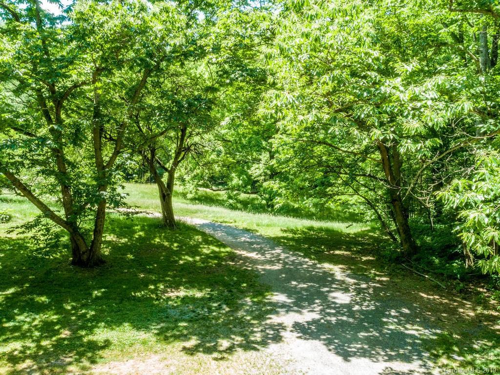 795 Springbrook Farm Road Waynesville, NC 28786 - Photo 38 of 45 a view of lush green forest