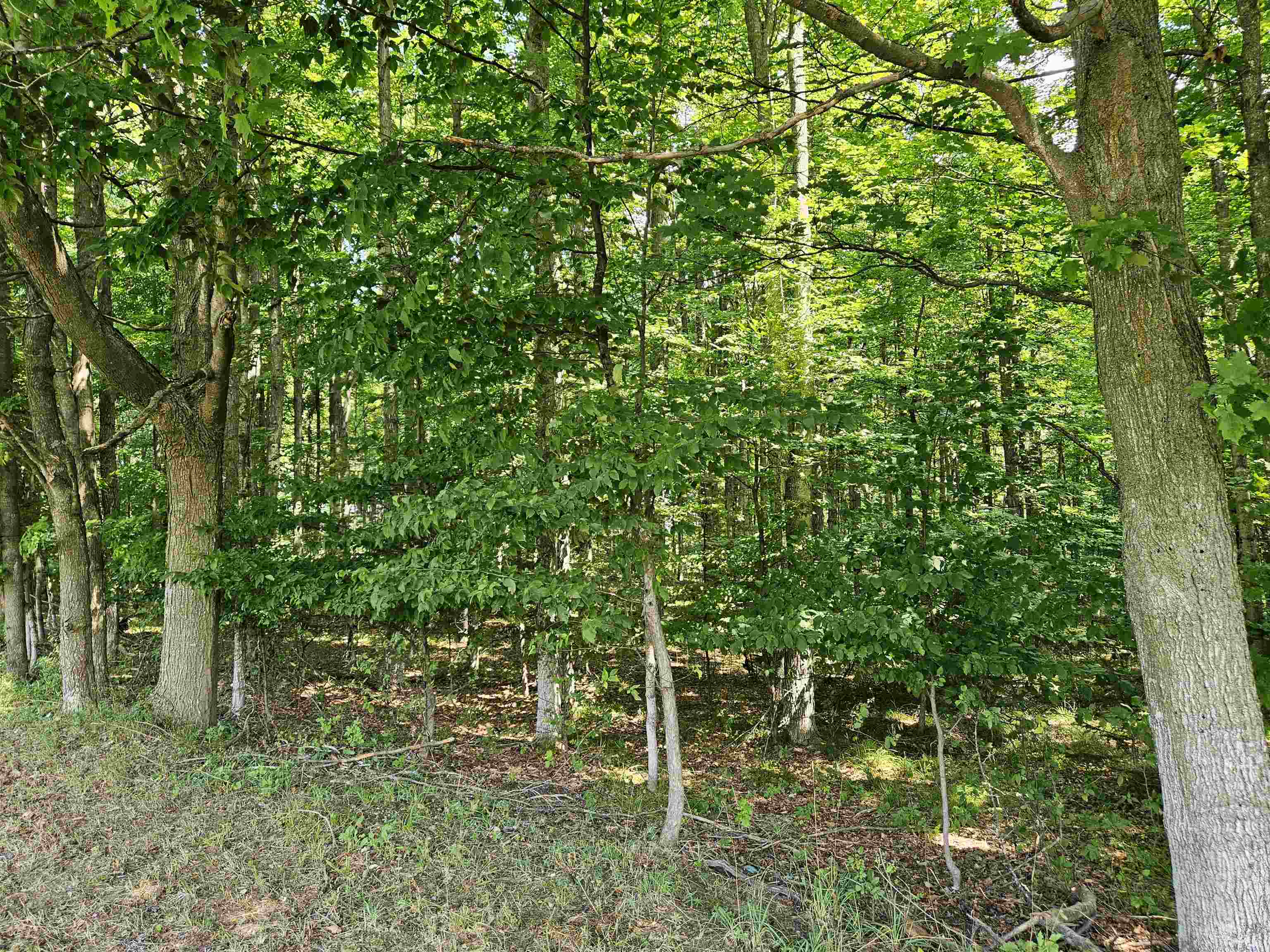 Tbd Tbd Willsey Road Traverse City, MI 49696 - Photo 19 of 22