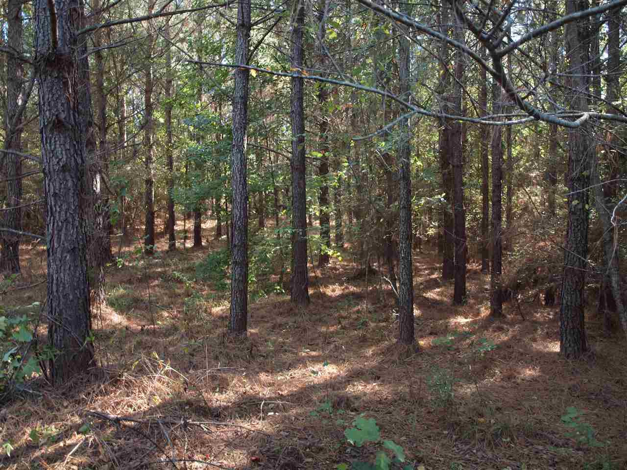 1 Pat Luckett Road Canton, MS 39046 - Photo 1 of 12 Photo 1