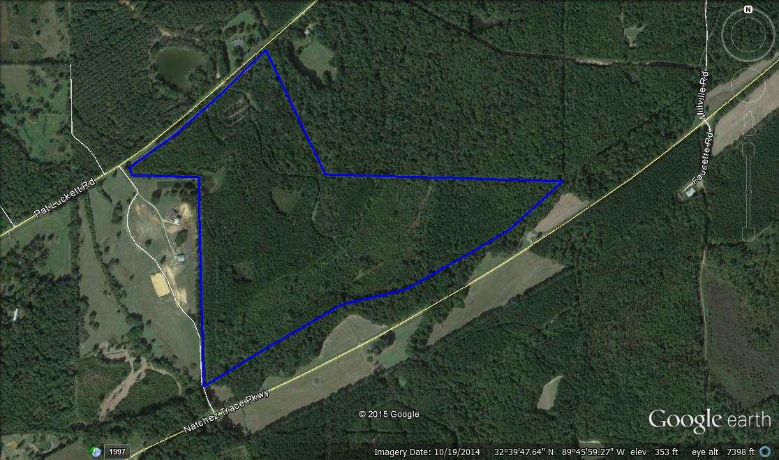 1 Pat Luckett Road Canton, MS 39046 - Photo 11 of 12 Photo 11