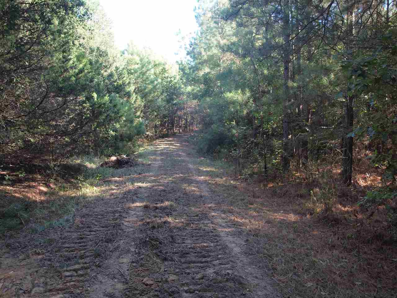 1 Pat Luckett Road Canton, MS 39046 - Photo 3 of 12 Photo 3