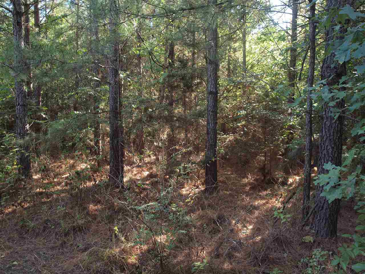 1 Pat Luckett Road Canton, MS 39046 - Photo 4 of 12 Photo 4