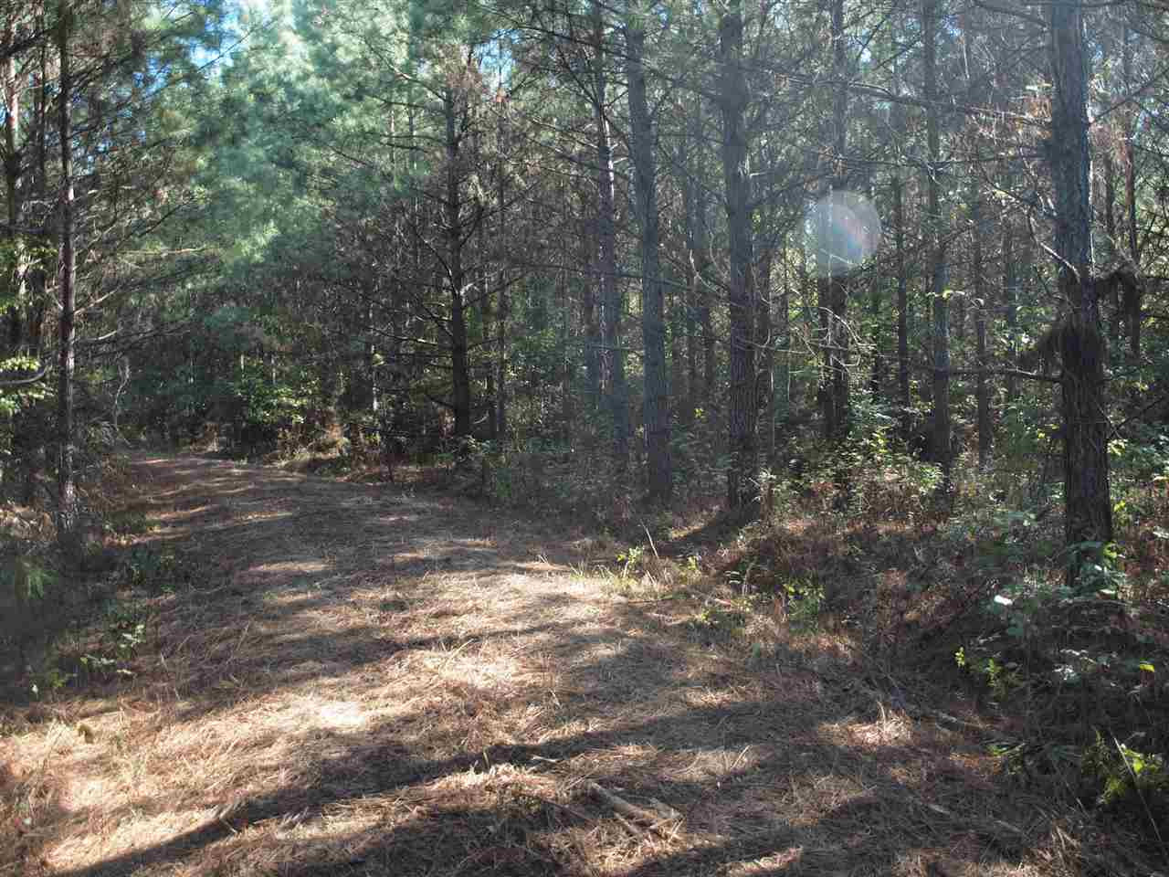 1 Pat Luckett Road Canton, MS 39046 - Photo 5 of 12 Photo 5