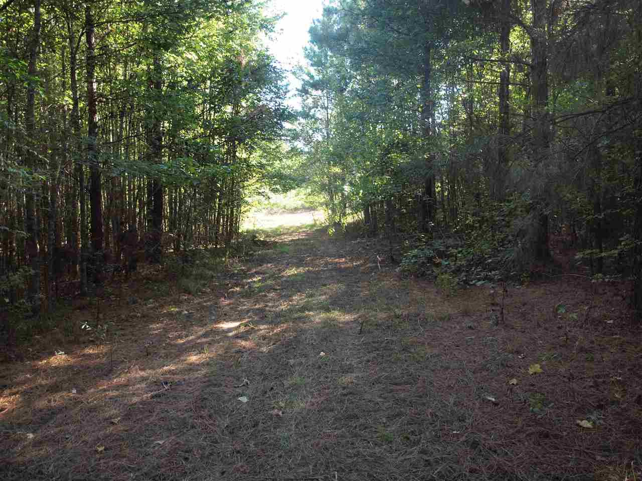 1 Pat Luckett Road Canton, MS 39046 - Photo 6 of 12 Photo 6