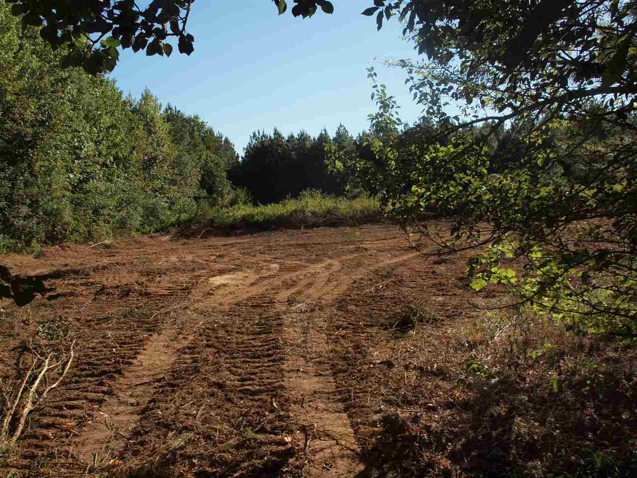 1 Pat Luckett Road Canton, MS 39046 - Photo 7 of 12 Photo 7