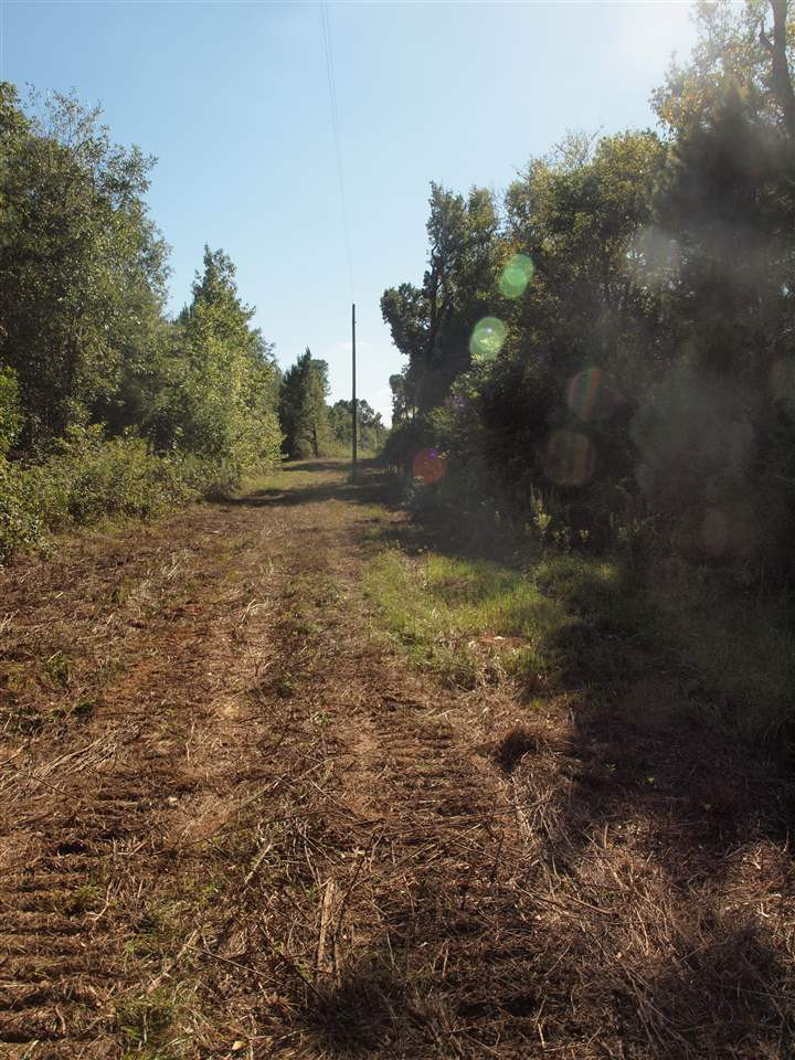 1 Pat Luckett Road Canton, MS 39046 - Photo 9 of 12 Photo 9