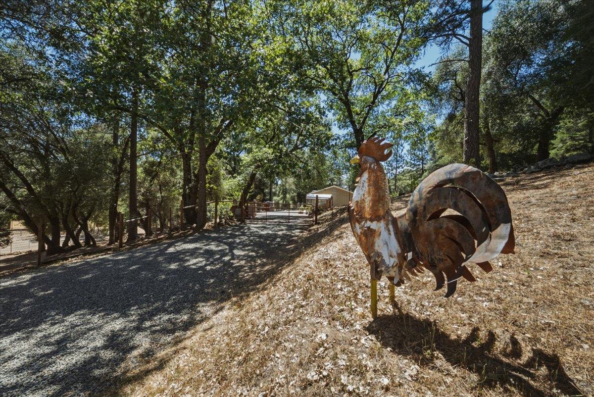 4246 Silver Ridge Court Placerville, CA 95667 - Photo 3 of 48