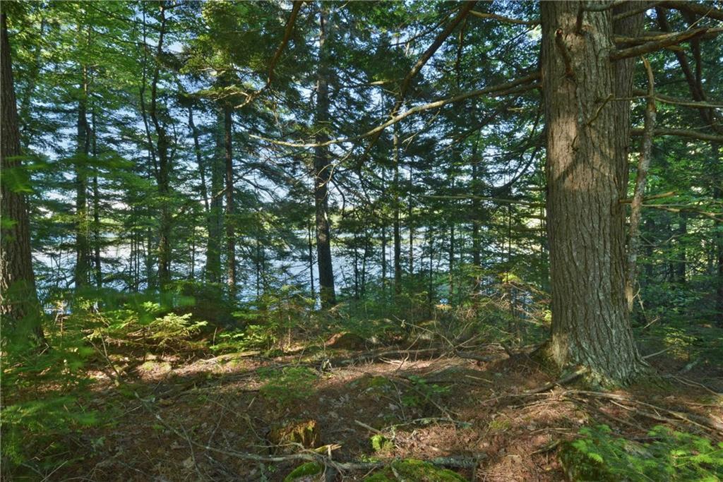 Lot 7 Loop Road Lincoln, ME 04457 - Photo 9 of 13 Photo