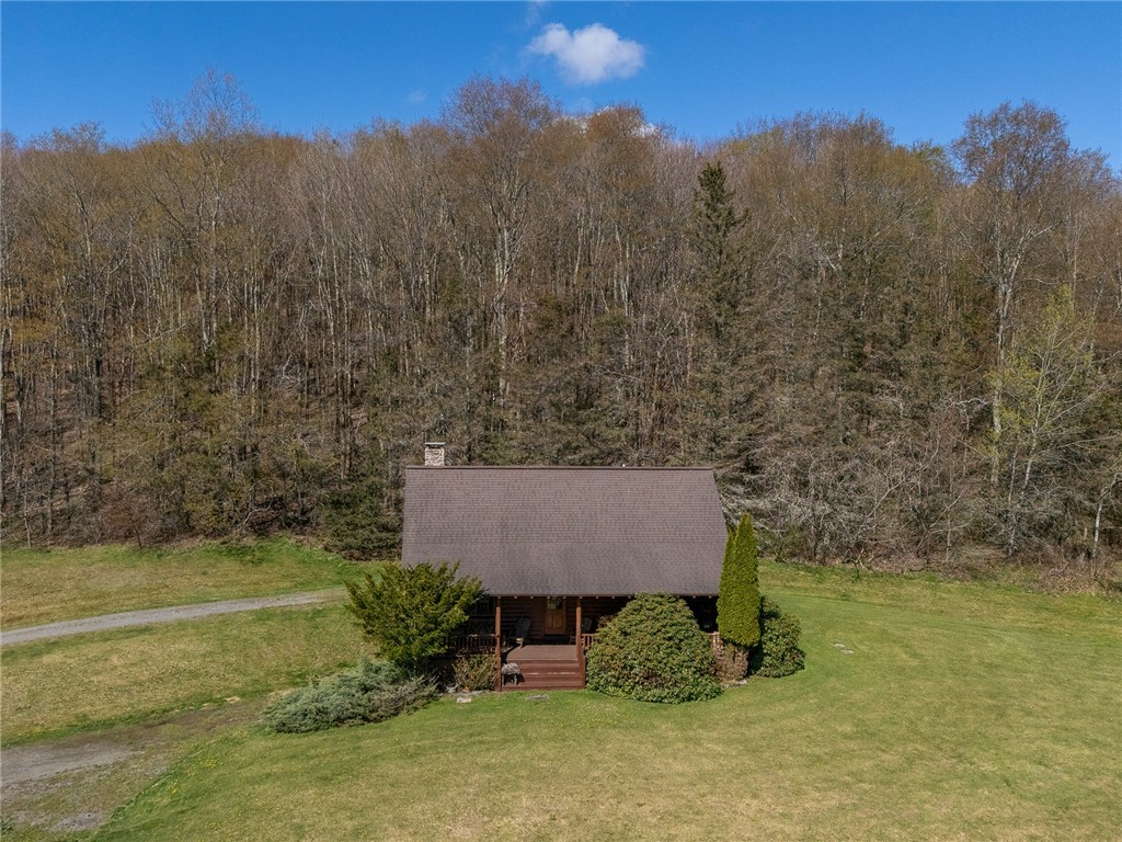 6150 Dunk Hill Road Franklin, NY 13856 - Photo 3 of 25