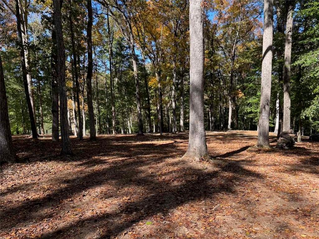 756 Roper Road Canton, GA 30115 - Photo 11 of 21