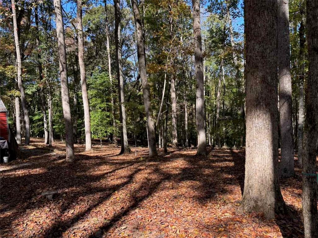 756 Roper Road Canton, GA 30115 - Photo 13 of 21 a view of road with trees