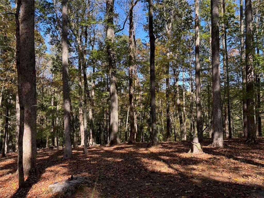 756 Roper Road Canton, GA 30115 - Photo 14 of 21