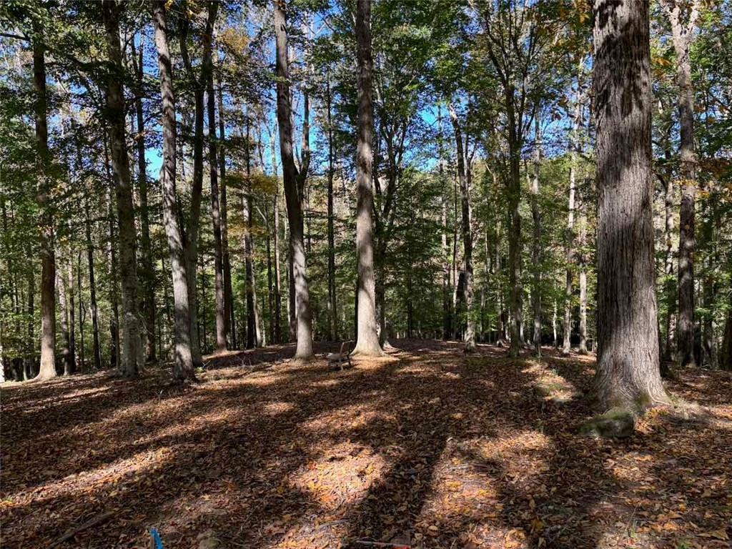 756 Roper Road Canton, GA 30115 - Photo 15 of 21 a view of outdoor space with street view
