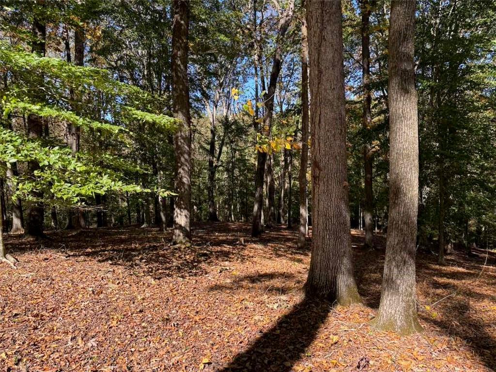 756 Roper Road Canton, GA 30115 - Photo 16 of 21 a view of a trees with a yard