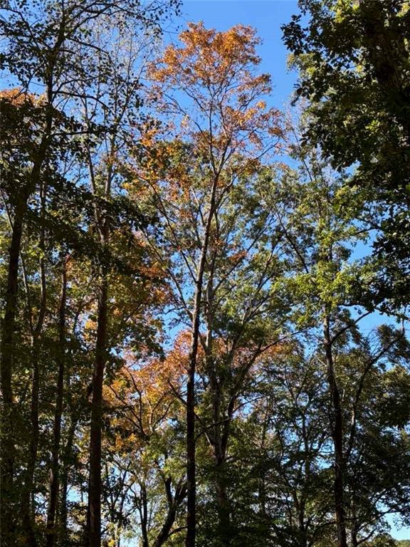 756 Roper Road Canton, GA 30115 - Photo 17 of 21 a view of tree