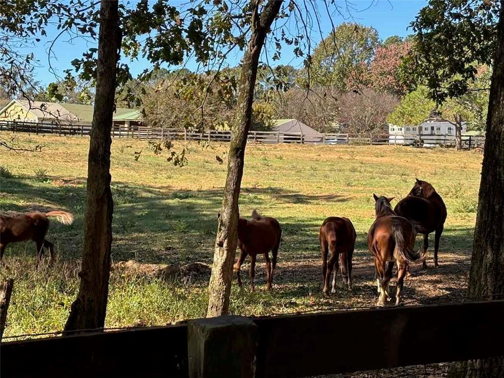 756 Roper Road Canton, GA 30115 - Photo 5 of 21 a view of a lake from a balcony