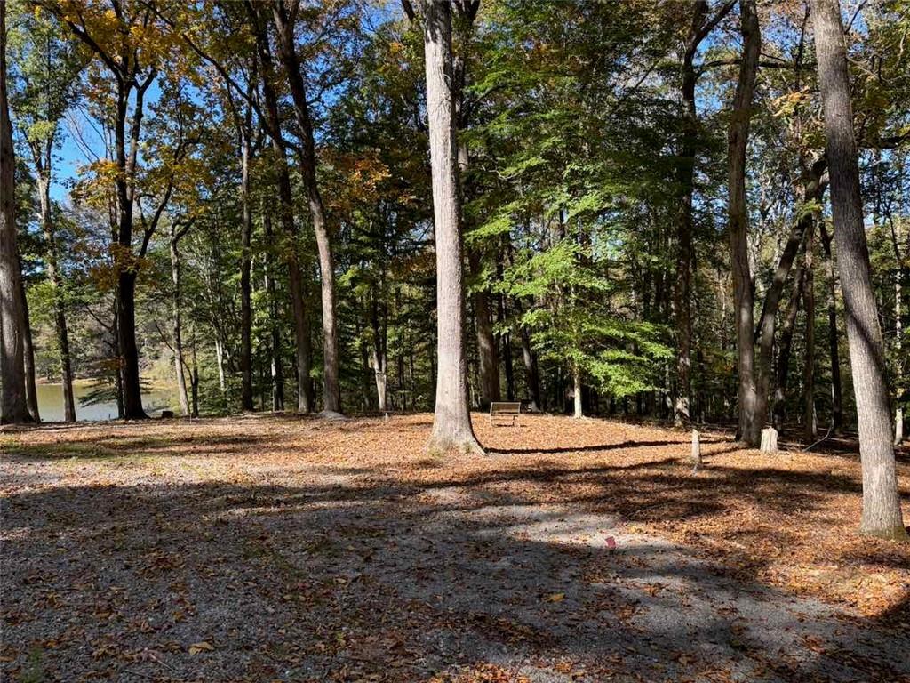 756 Roper Road Canton, GA 30115 - Photo 10 of 21 a backyard of a house with trees