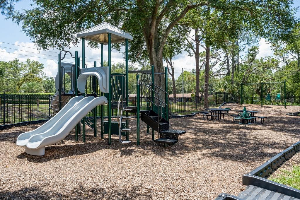 325 Magnolia Street Windermere, FL 34786 - Photo 45 of 52