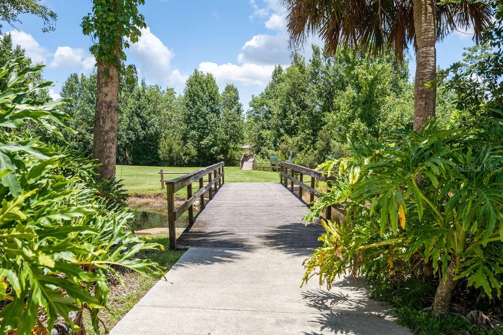 325 Magnolia Street Windermere, FL 34786 - Photo 47 of 52